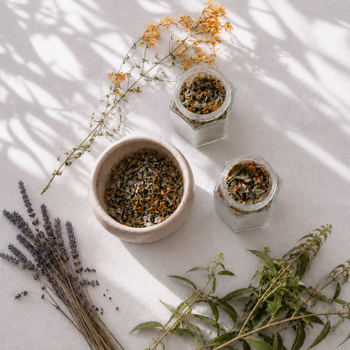 INFUSIONS