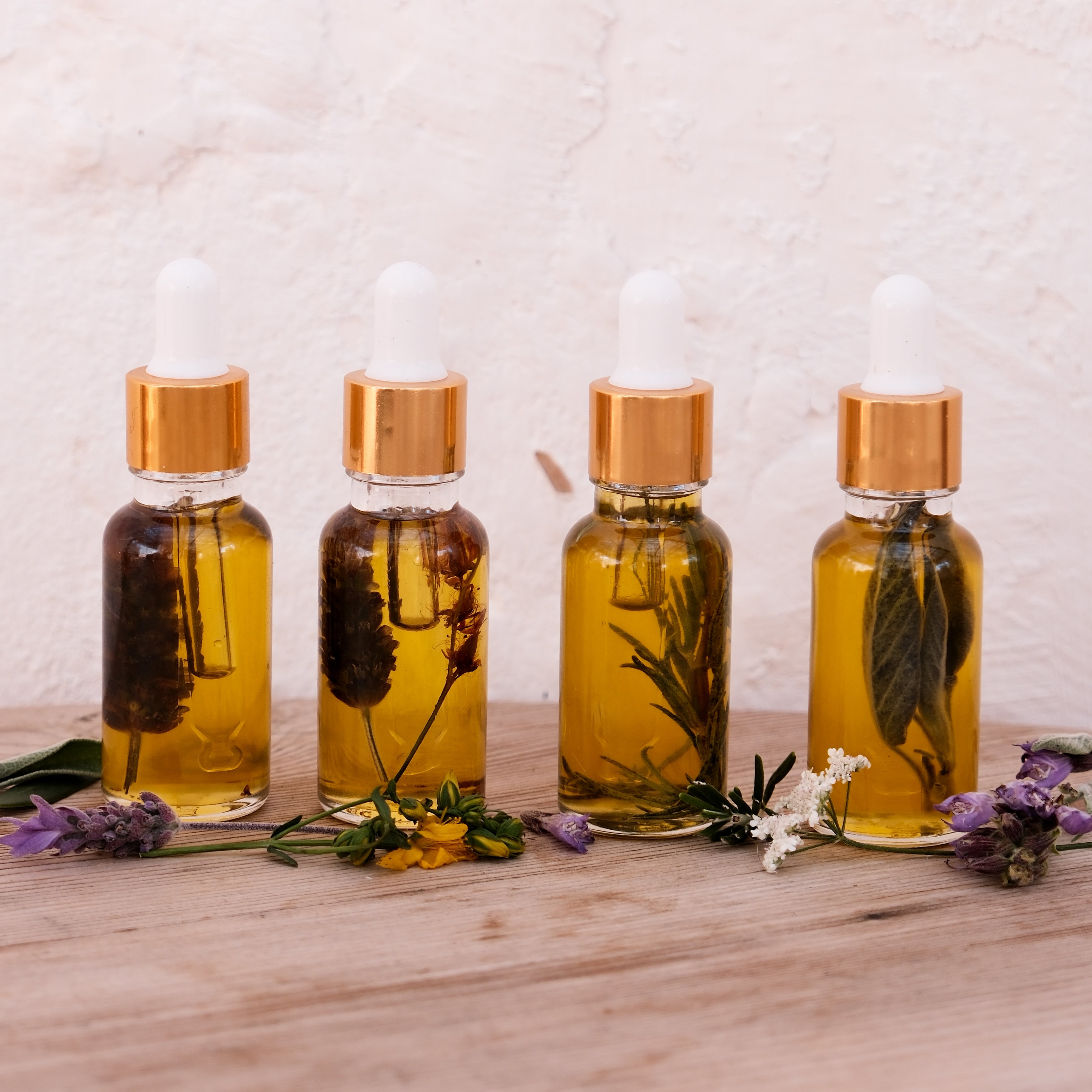 SALVIA SOLARIS – Body Oil